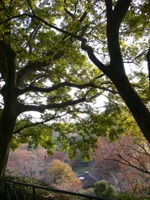 wphoto05nov4 020.JPG